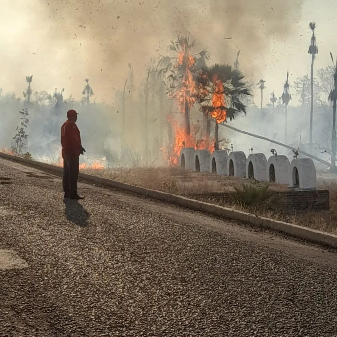 Bombeiros civis da Brigada de Incêndio atendendo ocorrência na região da localidade Tucuns PI-113